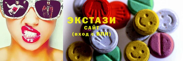 ECSTASY Краснослободск