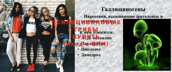 ECSTASY Краснослободск
