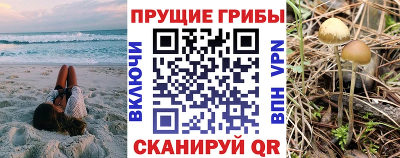 Галлюциногенные грибы ЛСД  Шлиссельбург 